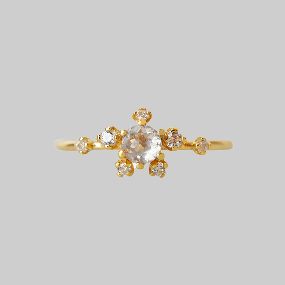 14kt Salt and Pepper Diamond Celestial Ring