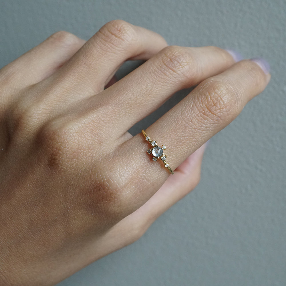 14kt Salt and Pepper Diamond Celestial Ring
