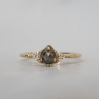 Lunar Dust Salt & Pepper Diamond Ring