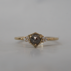 Lunar Dust Salt & Pepper Diamond Ring