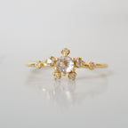 14kt Salt and Pepper Diamond Celestial Ring