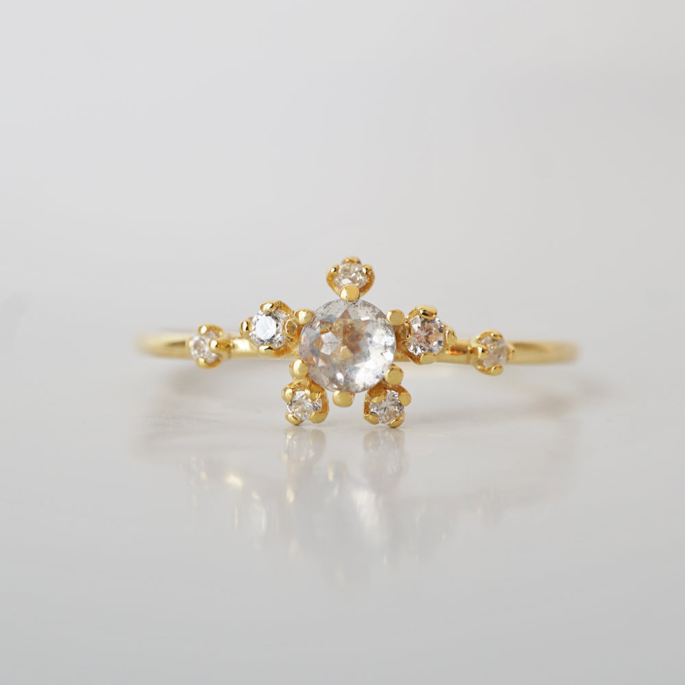 14kt Salt and Pepper Diamond Celestial Ring