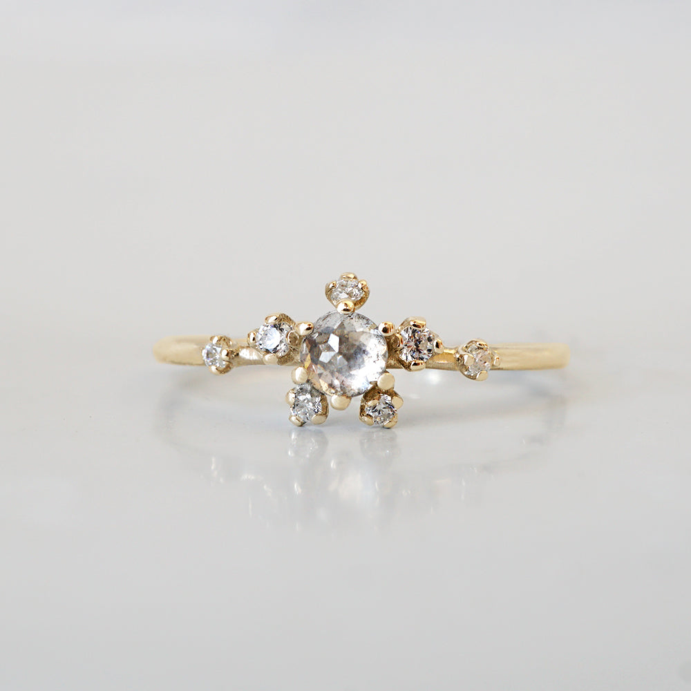 14kt Salt and Pepper Diamond Celestial Ring