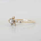 14kt Salt and Pepper Diamond Celestial Ring