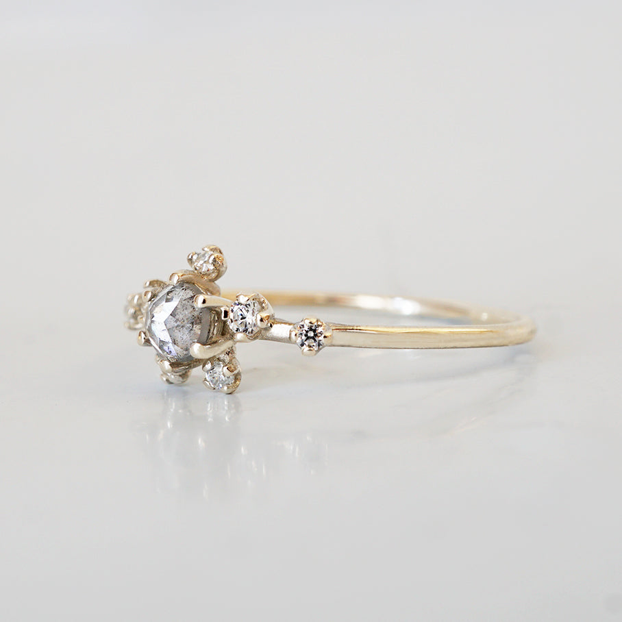 14kt Salt and Pepper Diamond Celestial Ring